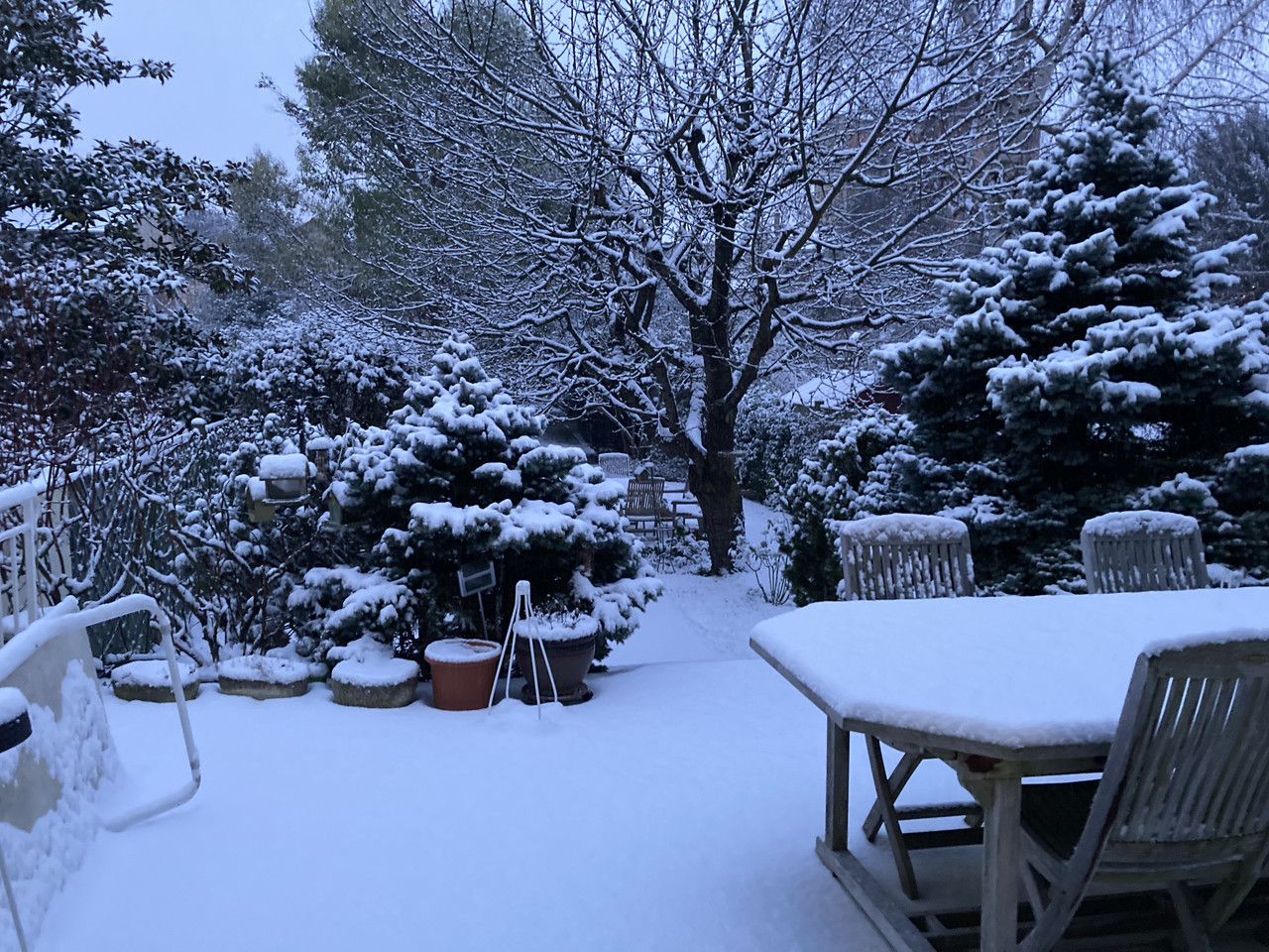 [Image: IMG-4422.jpg]