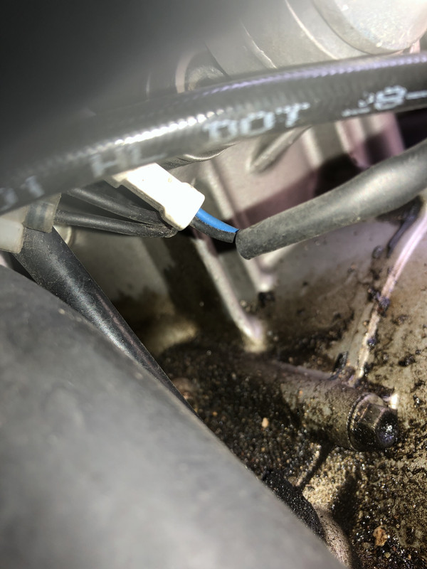 51BE916F-20B0-496D-B099-BF6E66895230