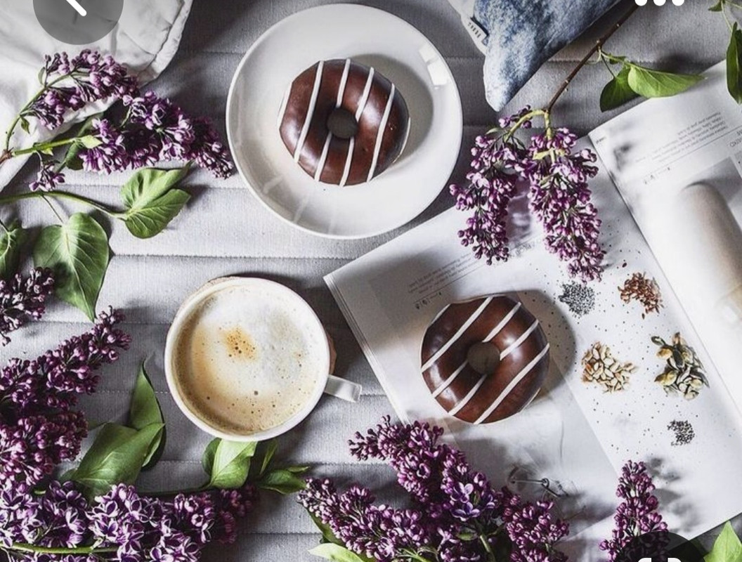 Screenshot_20230310_234142_Pinterest