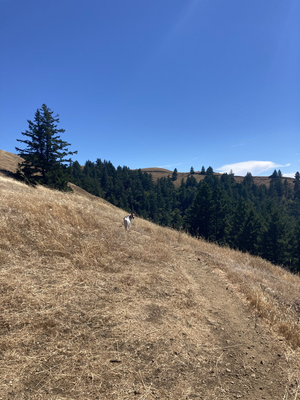 0AF2B41A-817B-4EEA-A611-3D2D6E20E55B