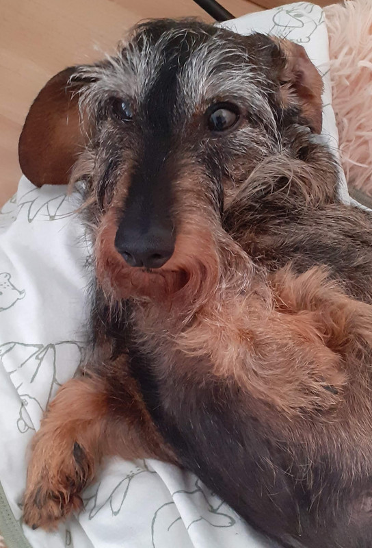 [Image: 20250713-193200-ERNA.jpg]