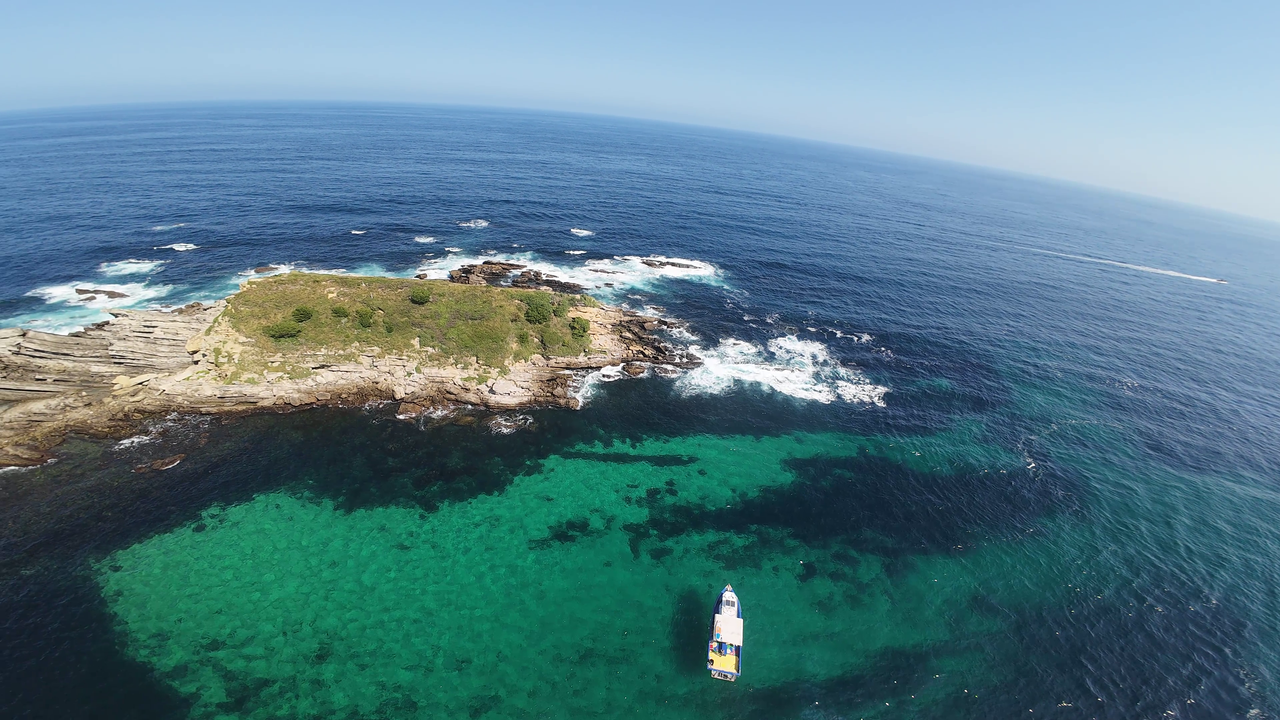 Snorkeling et randonnée palmée à Hendaye