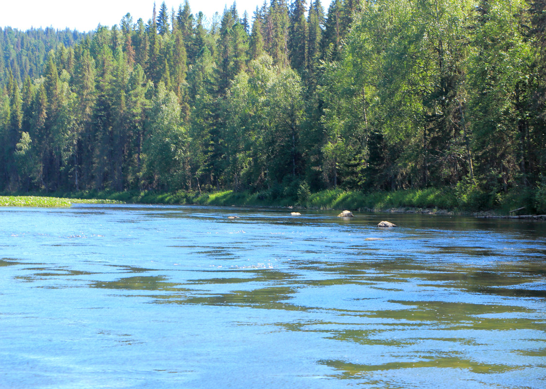 IMG_6123 (9000 x 6417)