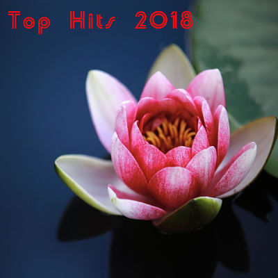 VA - Top Hits 2018 (09/2018) VA_-_To18_opt