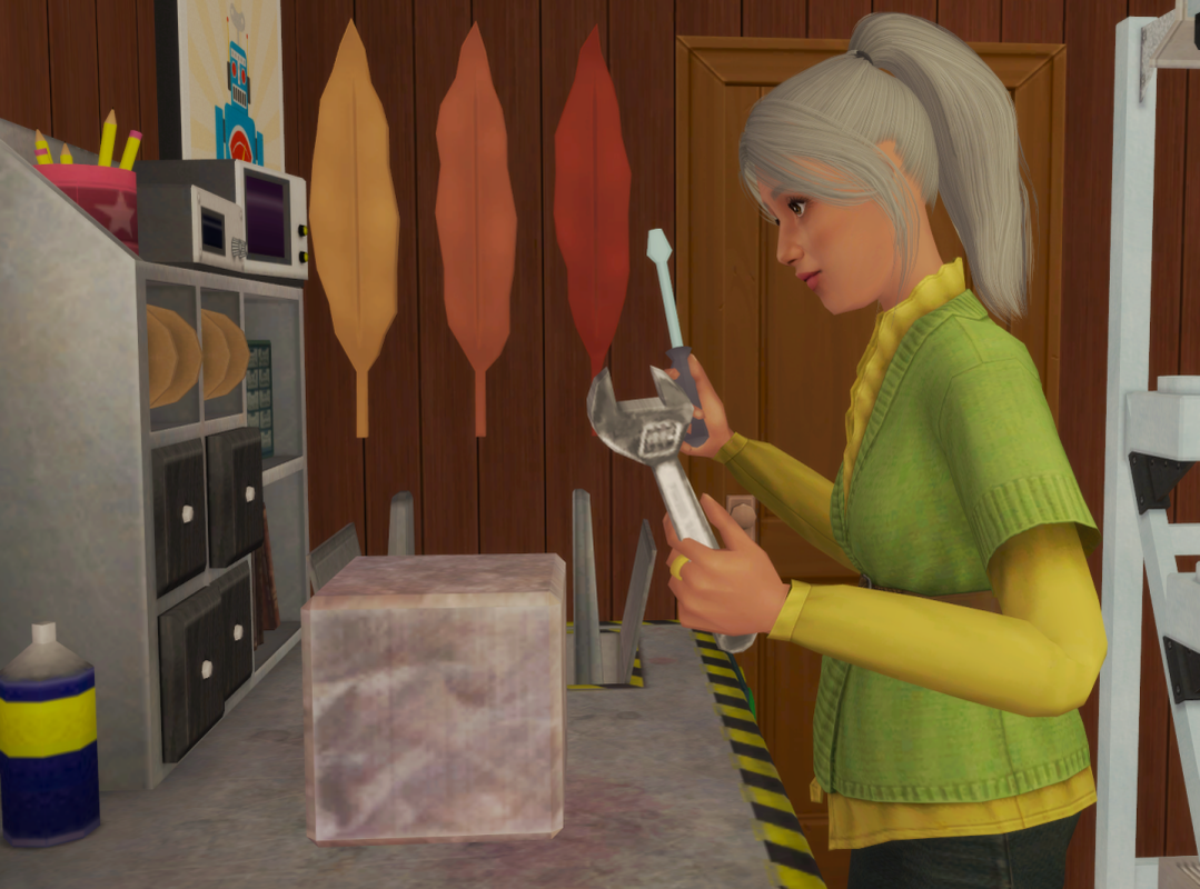 Sims2-EP9-RPC-2024-10-26-09-51-08-83