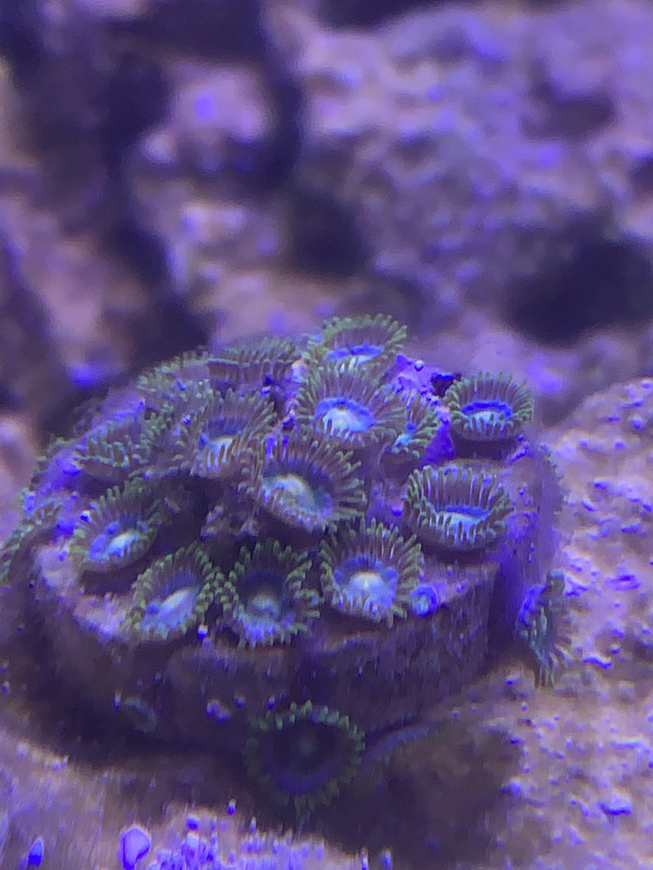 02D94052-0FB1-439E-9D57-4817FE13EC67