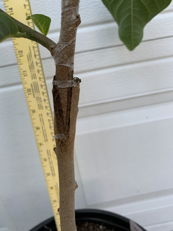 A7C05A92-1A63-495E-A42B-D38199E3897F