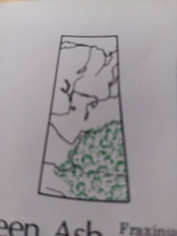 Green Ash Map