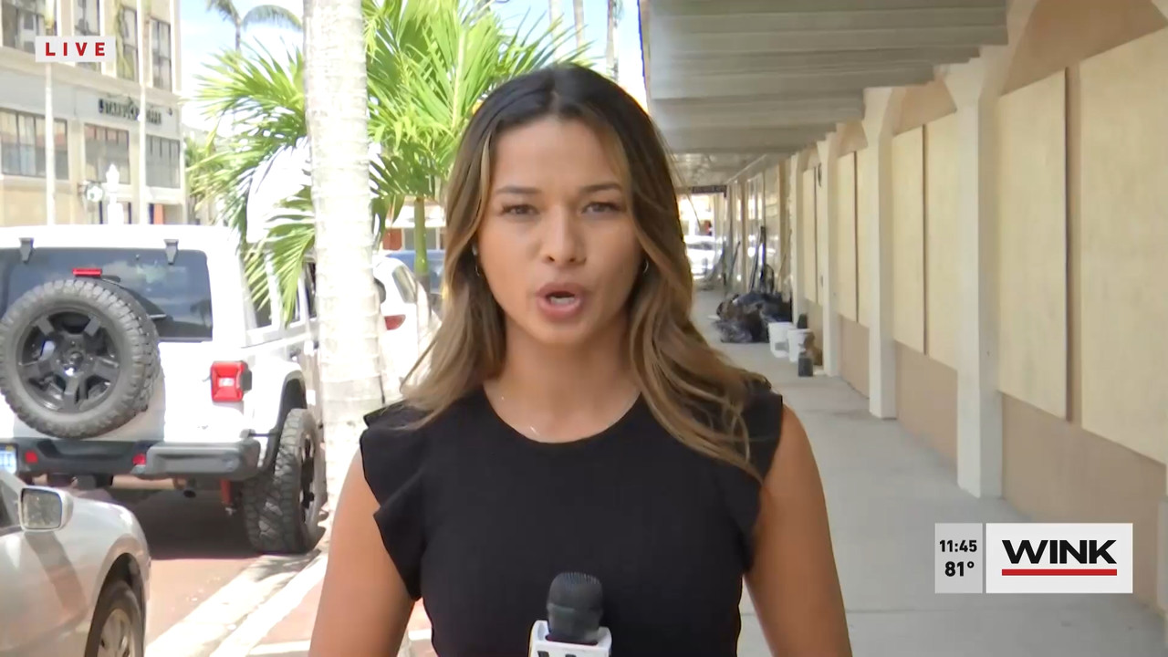 10.09 - 16.30.00 - WINK NEWS at 11 30am  ᴺᵉʷ. Midday news..ts_snapshot_22.16.379