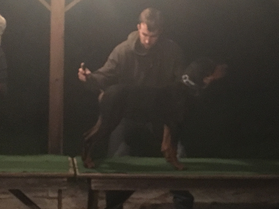 921DAB63-AEE9-416B-8008-D912F06F5A9F