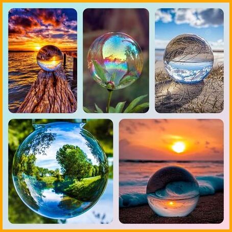 bullescouleurs-SPHORA-1