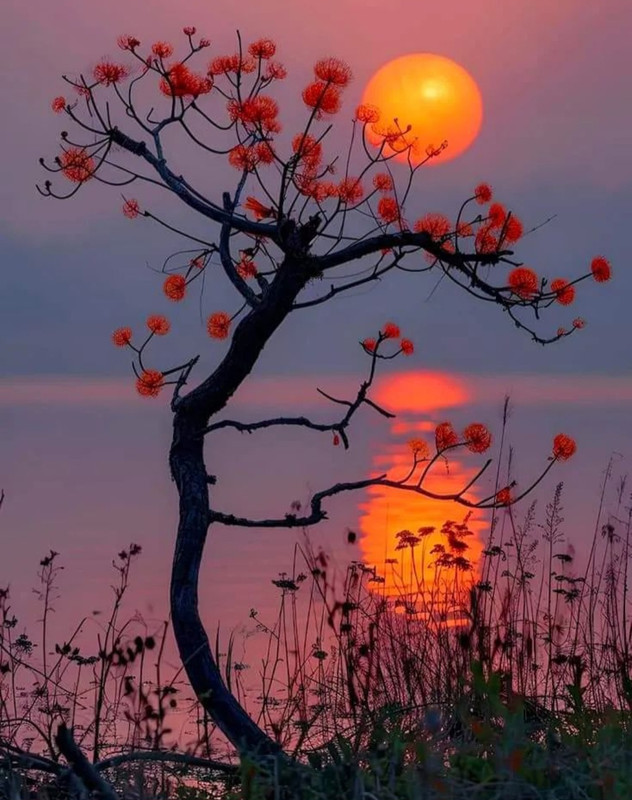 Screenshot_20240425_223457_Threads