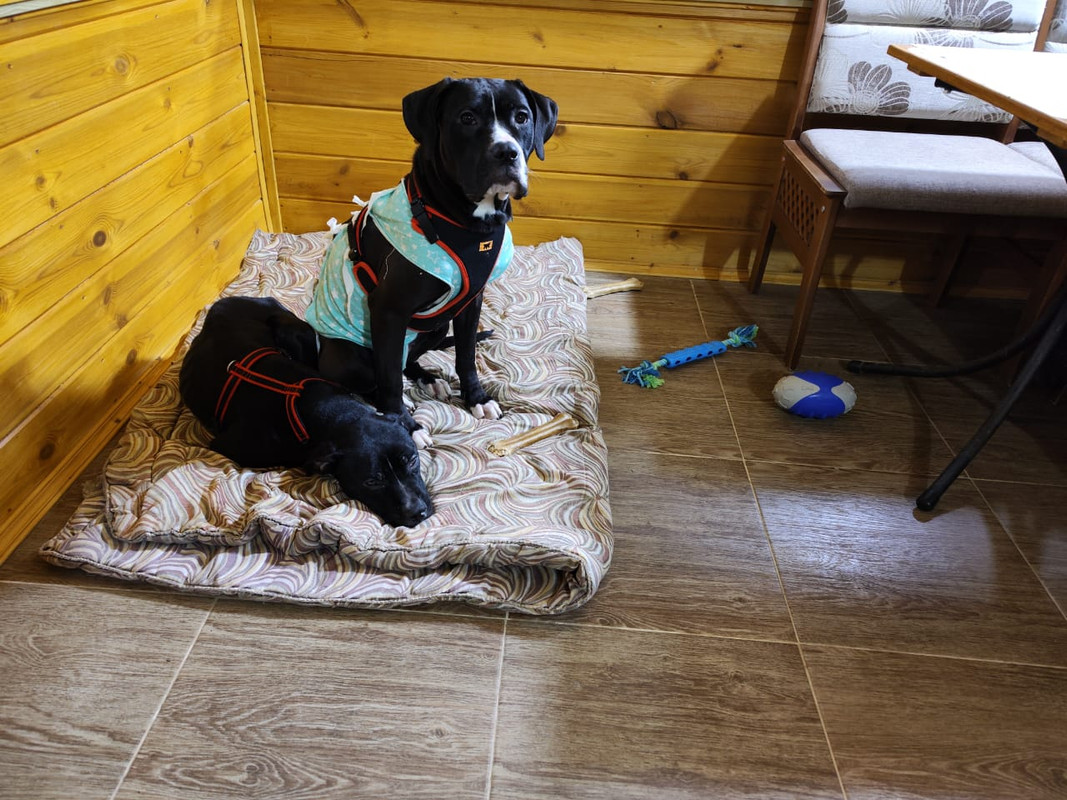 758F4A91-3EB7-4E81-9F8D-CF88D6ACC03A