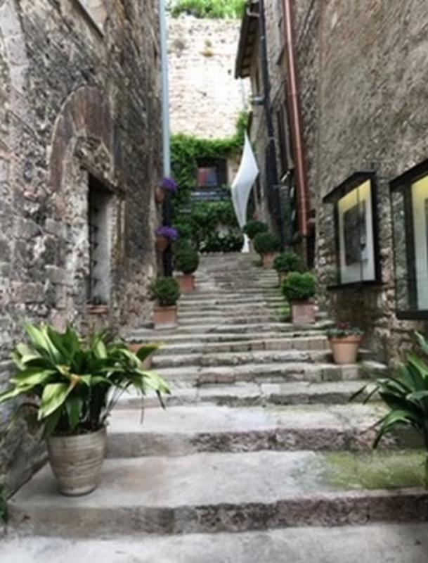 Italy Steps