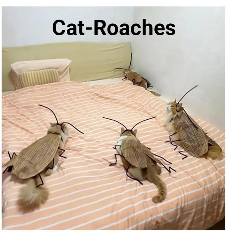 i can live with these