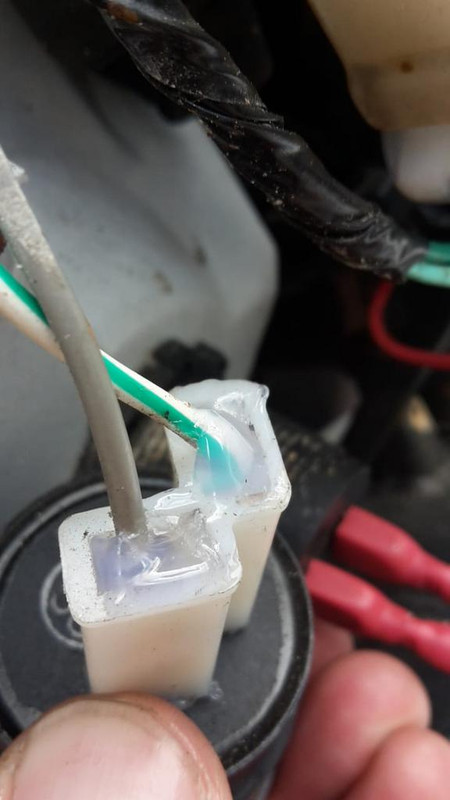 WhatsApp Image 2018-09-30 at 20.40.46