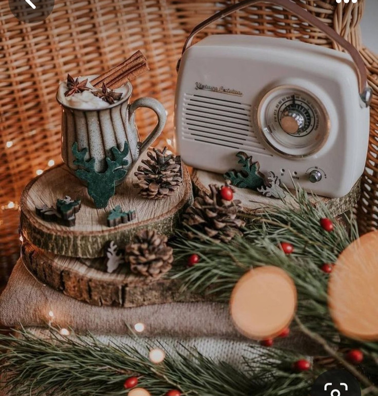 Screenshot_20240103_235010_Pinterest