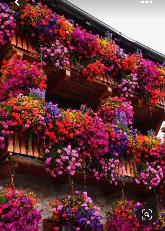 Screenshot_20230518_003808_Pinterest