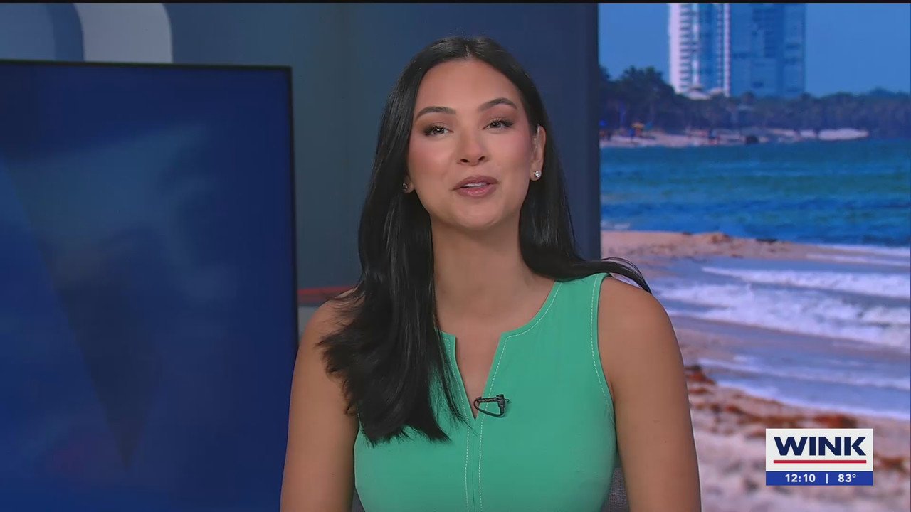07.02 - 17.00.00 - The WINK Noon News  ᴺᵉʷ. Midday news update..ts_snapshot_11.55.114