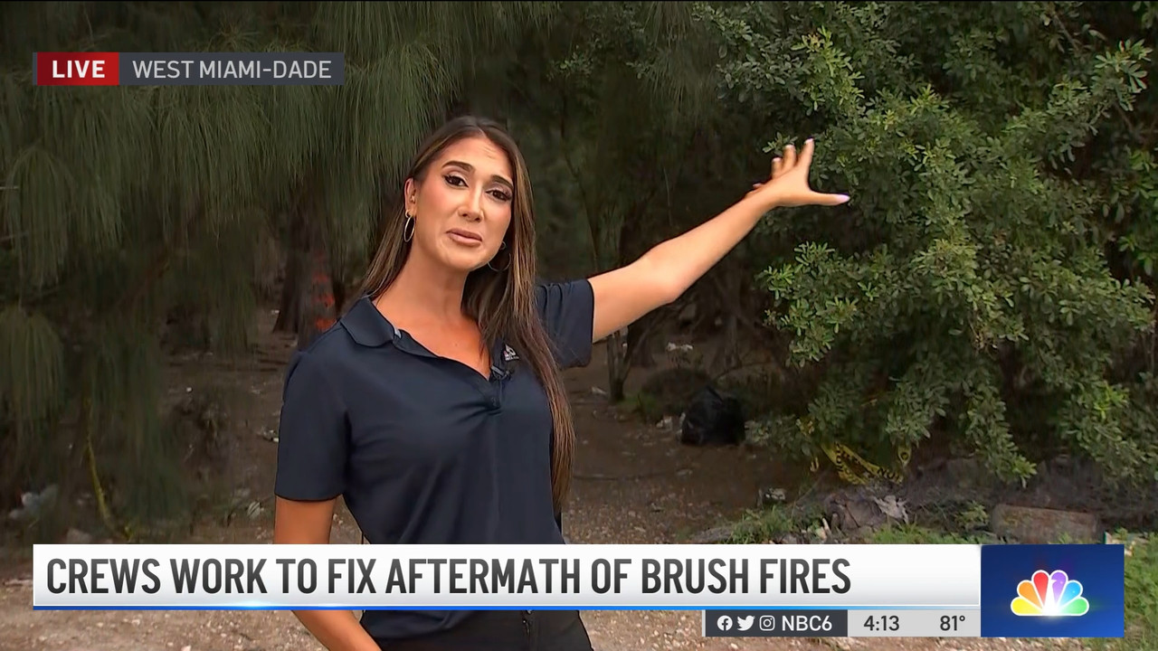 04.08 - 21.00.00 - NBC 6 News at 4 00 p.m..ts_snapshot_00.20.02.269