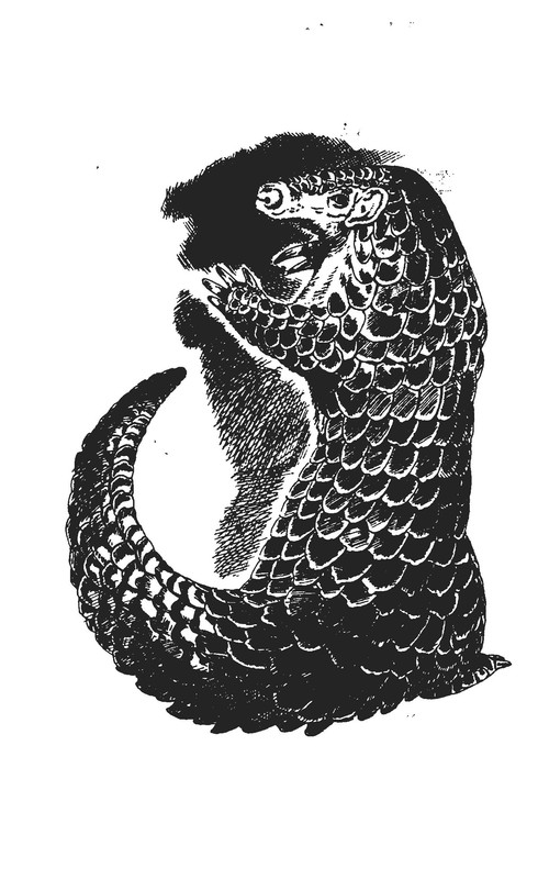 p0005