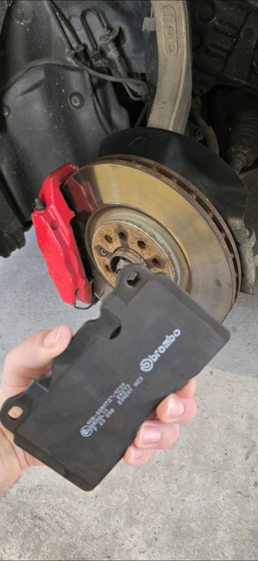 Screenshot_20250514_231509_Gallery