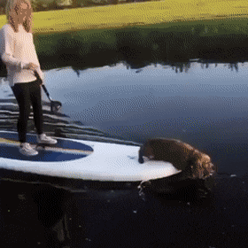 daily-gifdump-3433-10-(1).gif
