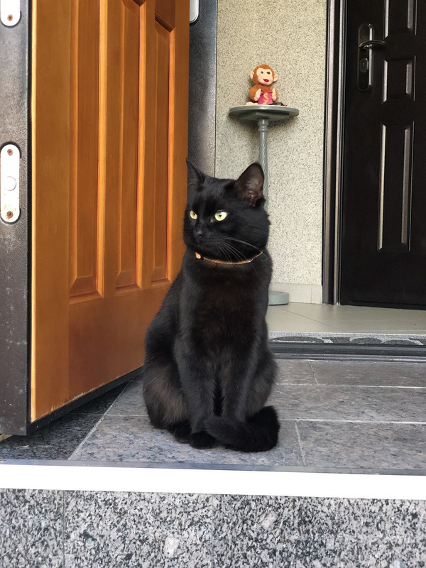 ED3CFD9B-6163-48B8-8F3E-712B2EE78FD0