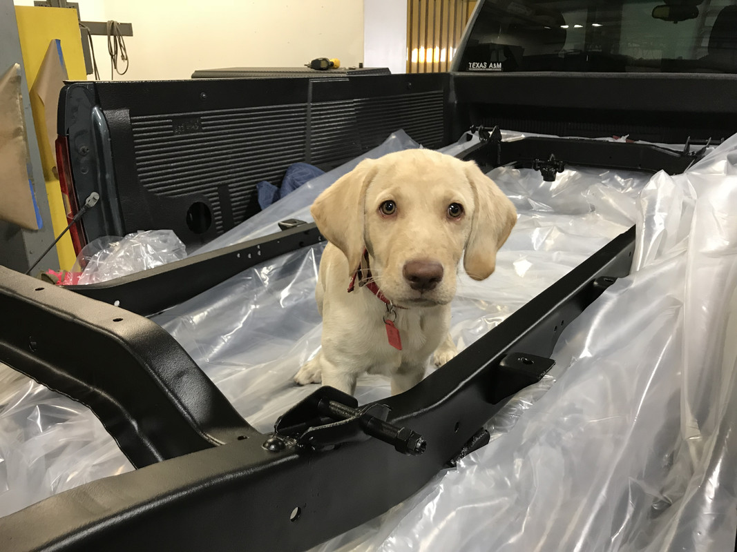 5D3F6AA8-513A-41E7-A3B2-7BB97BE6368E