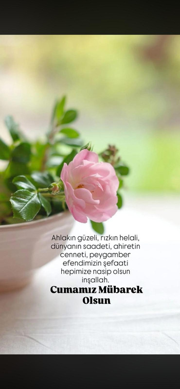 IMG 20260529 WA0022