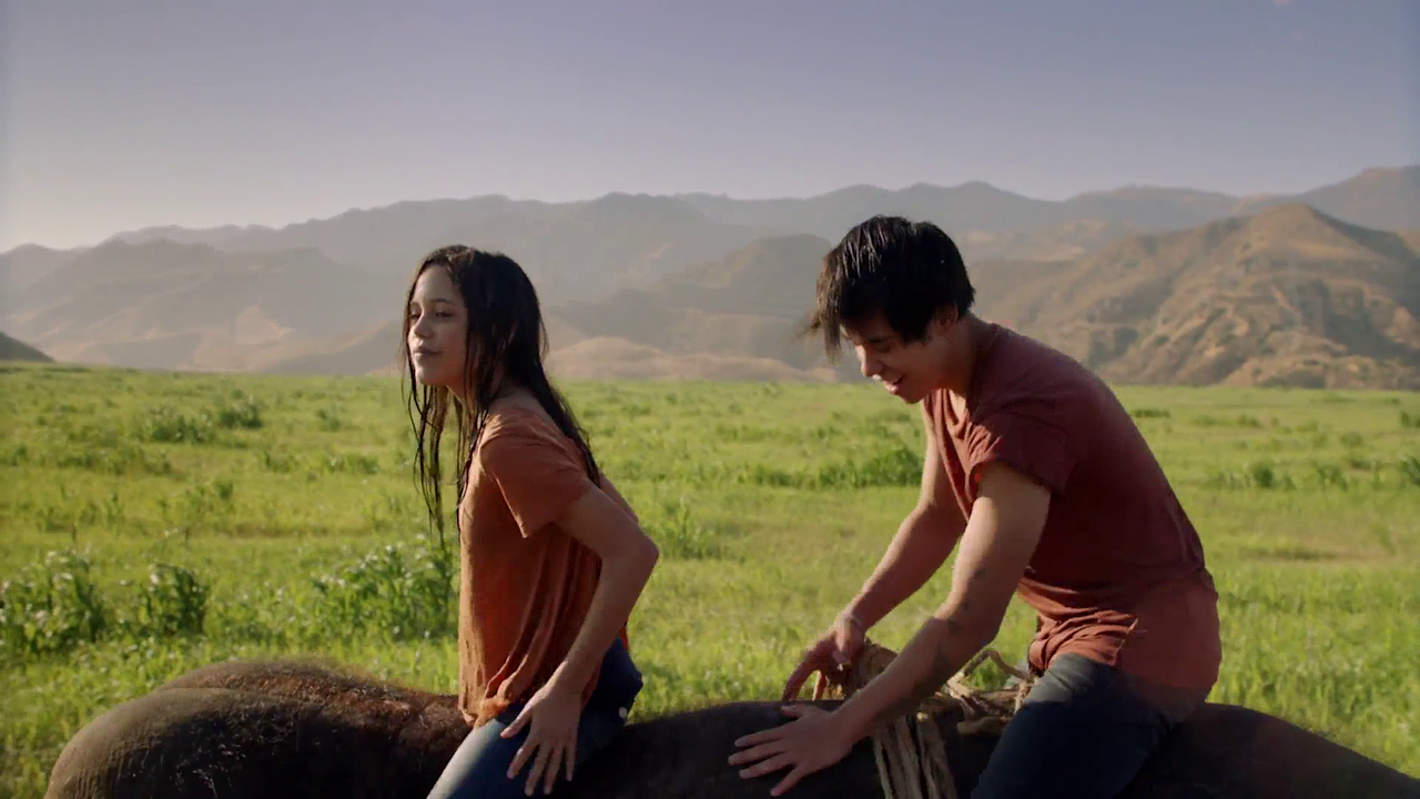 In Viaggio Con Flora 2019 iTA ENG AC3 1080p BluRay x264 iDN_CreW