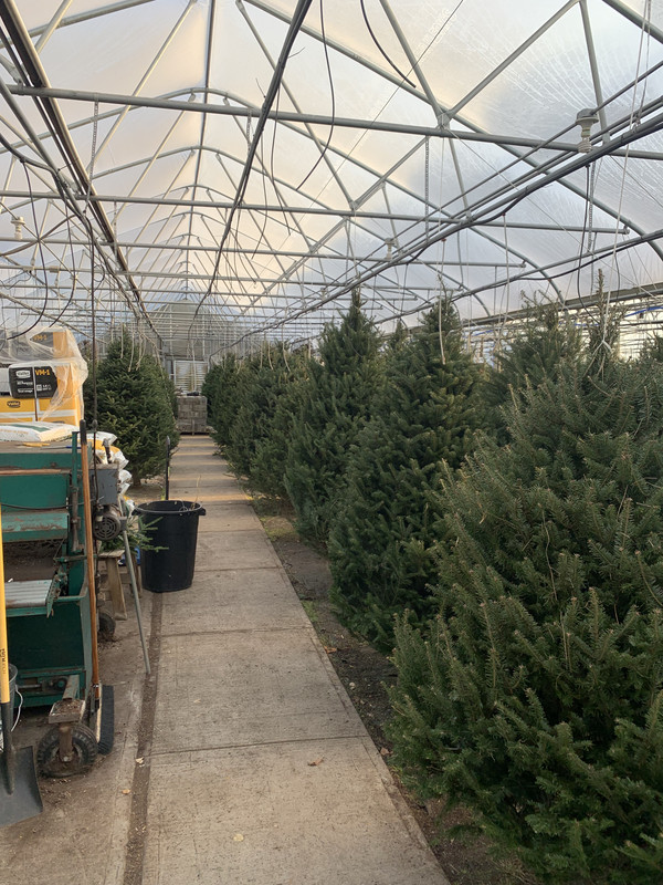 0F981A88-229C-4E52-B9A8-C15929E5EC4D