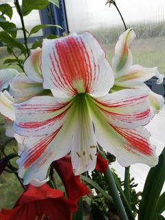 IMG_20190504_105919