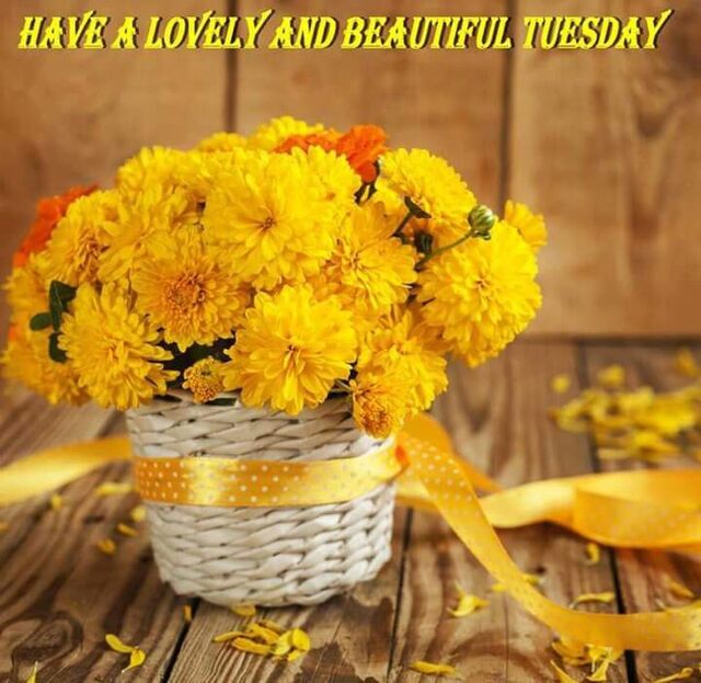 An den Beitrag angehängtes Bild: https://i.postimg.cc/rshdZYKH/oie-162838-Jz-Pe-Mx-Ls.jpg