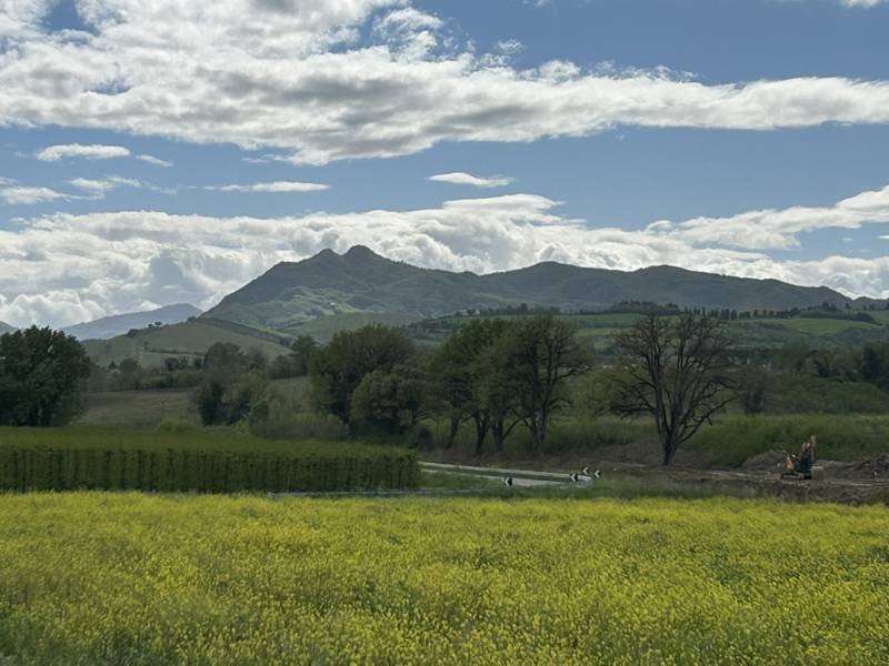 Domenica 18 maggio una camminata al monte Mauro, partendo da Zattaglia (Ra) Domenica 18 maggio una camminata al monte Mauro, partendo da Zattaglia (Ra)