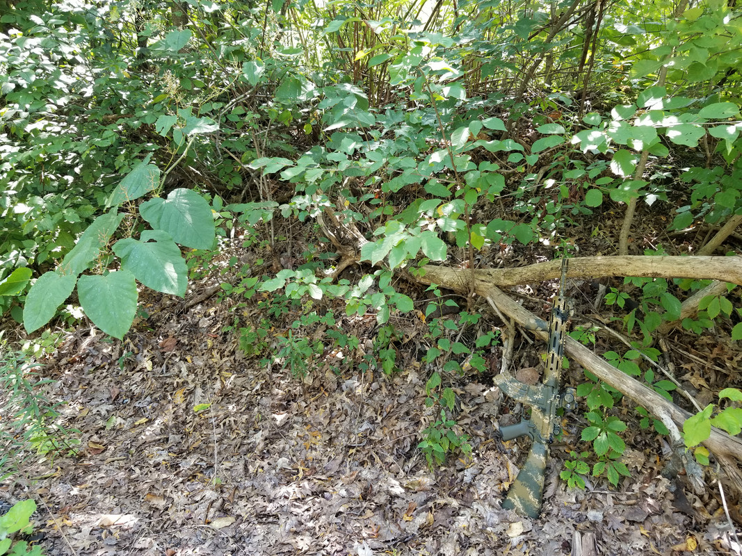 [Image: 20230819_132015.jpg]