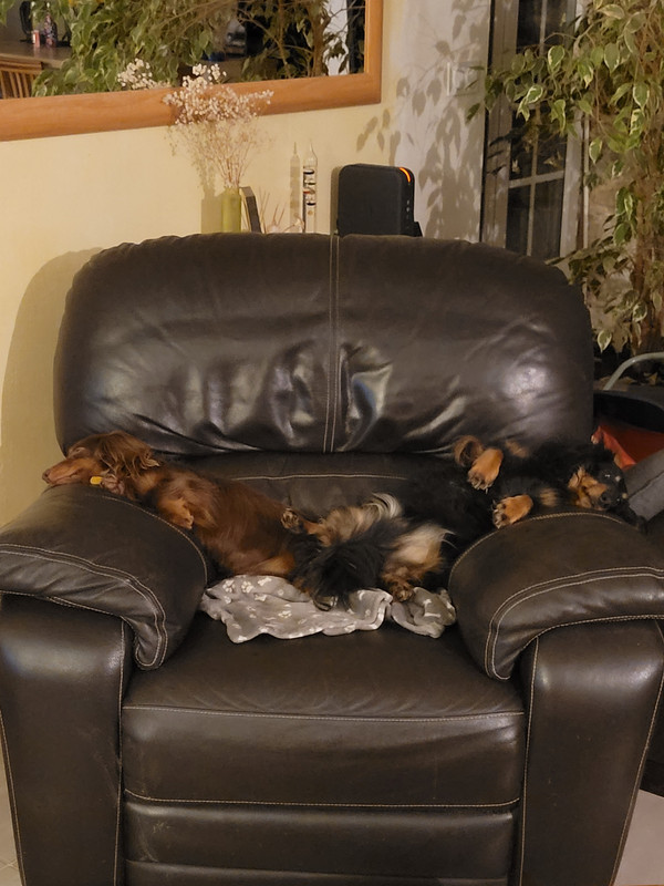 [Image: 20250305-215917.jpg]