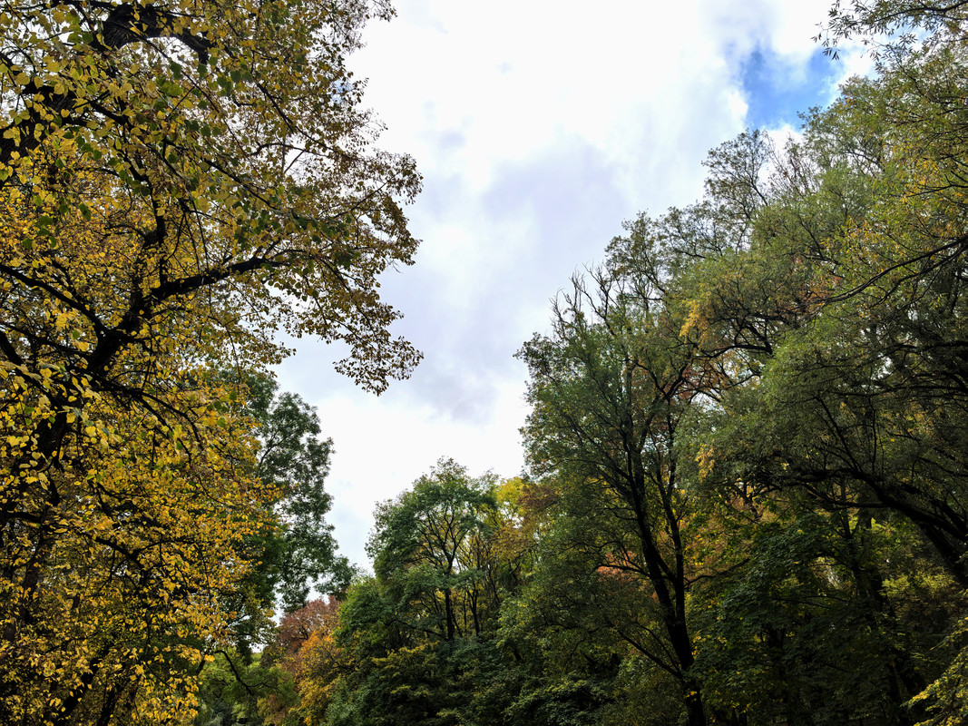 Октябрь уж наступил, 