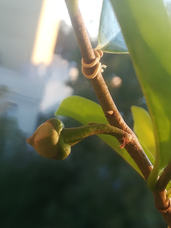 Obrázek WhatsApp, 2024-09-21 v 18.29.33_f015aa9a