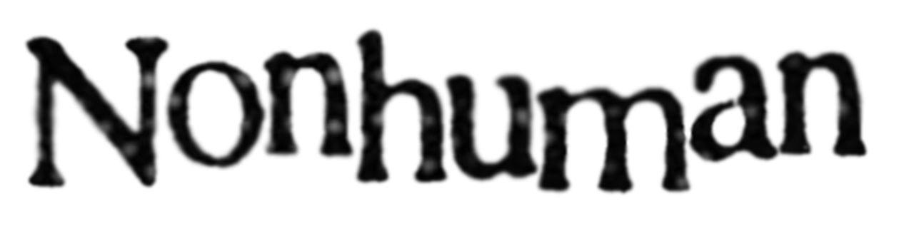 nonhuman
