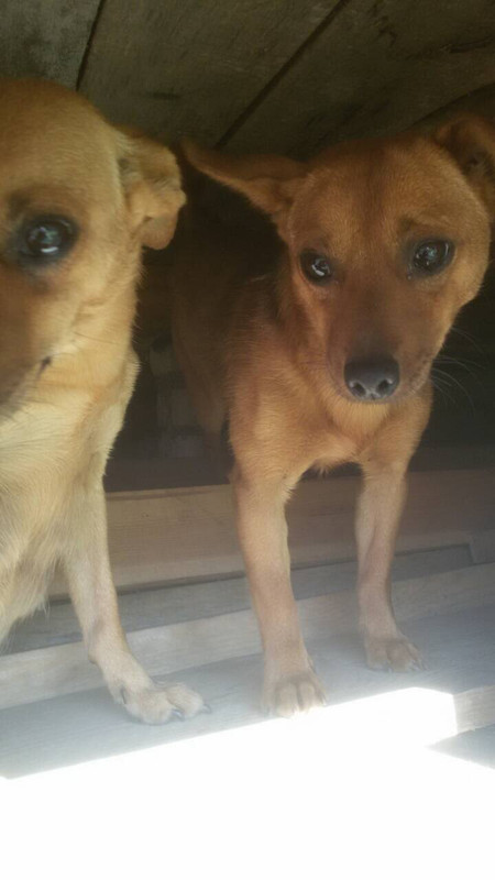 IMG_9073-02-10-18-09-36