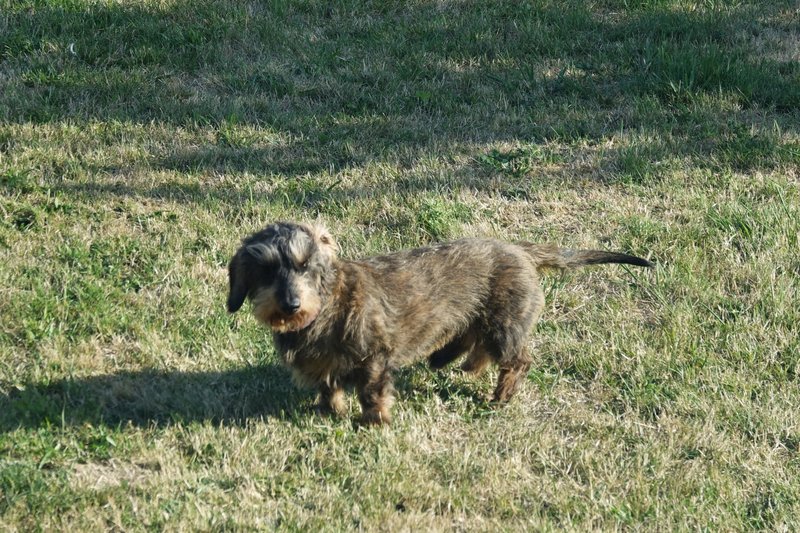 [Image: DSC01814.jpg]