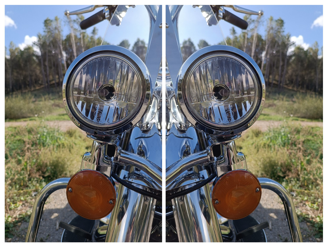 20231029-120113-COLLAGE.jpg
