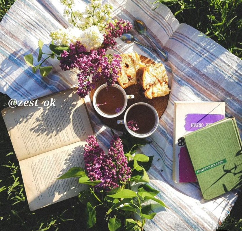 Screenshot_20240604_154902_Pinterest