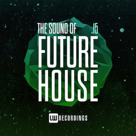 VA - The Sound Of Future House Vol.15 (2022)