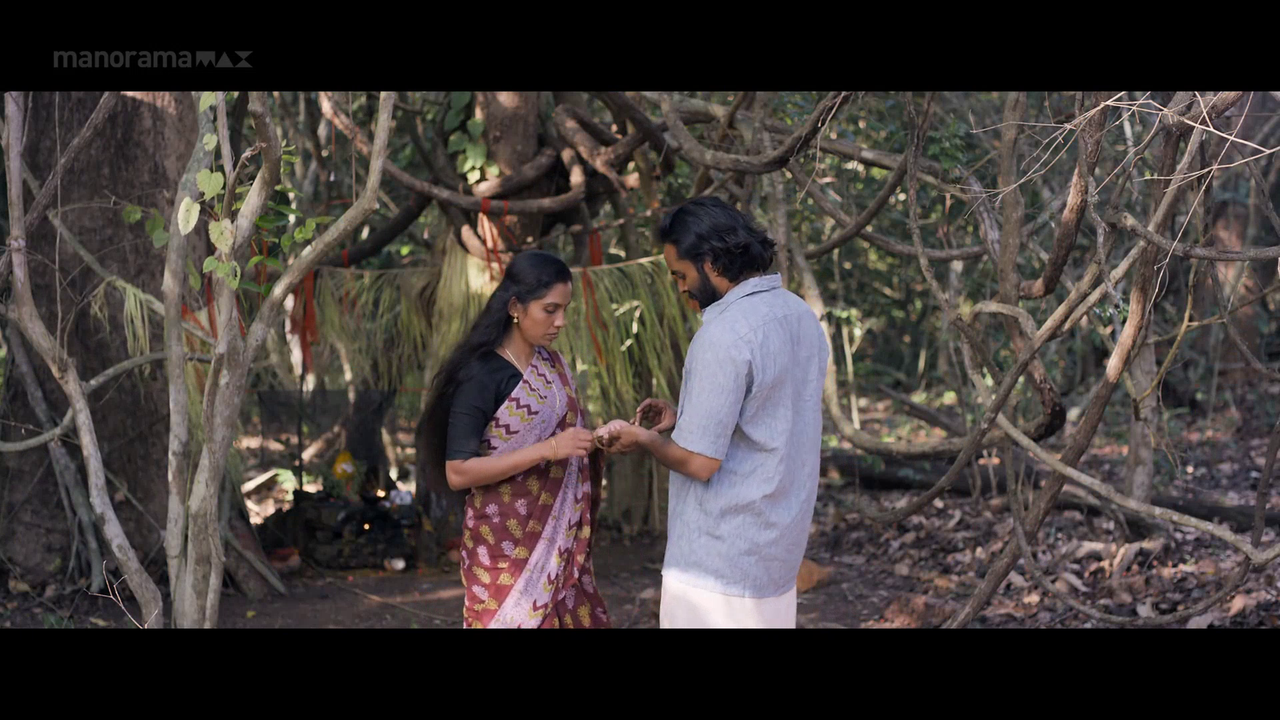 vlcsnap 2026 02 06 18h02m09s910