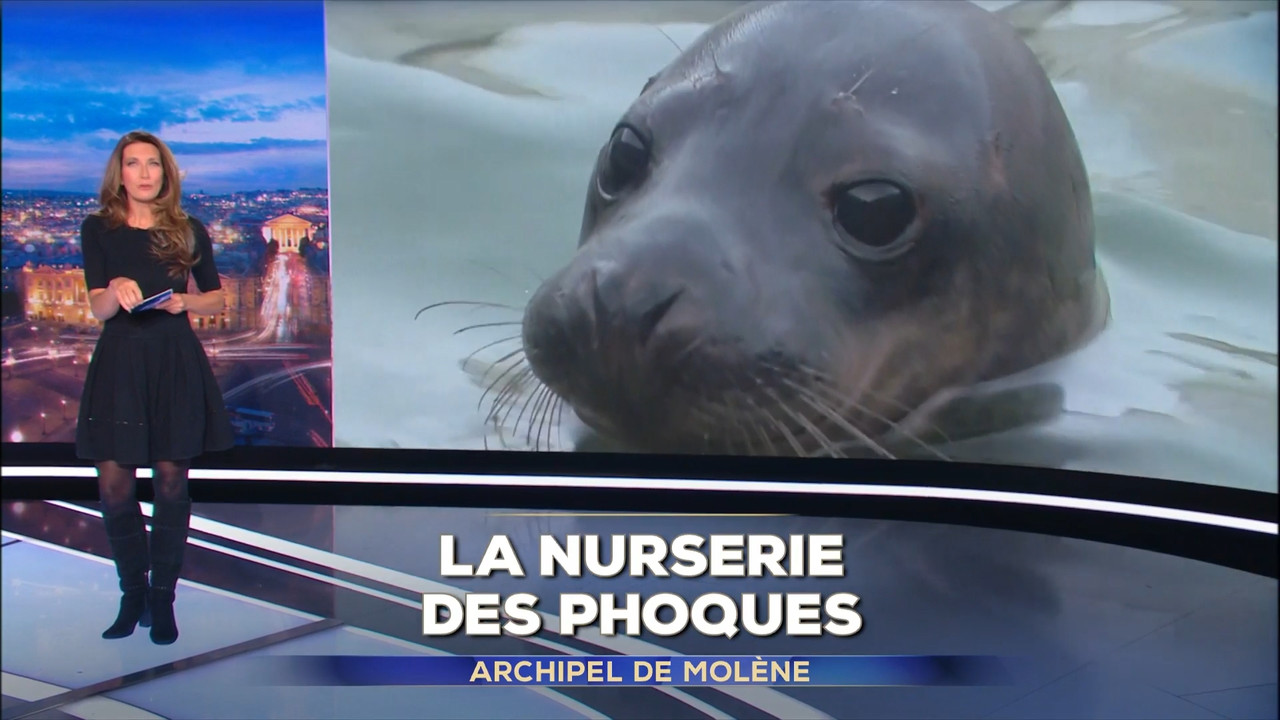 2023-01-27_20_00_TF1_Le-20h.mp4_snapshot_04.04.765