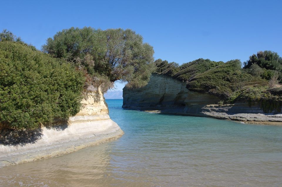 34827300_239189340171872_5791632337728962560_n