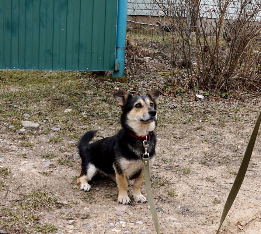 1D36D804-4D2D-468C-AF0B-1C1D7BBEE0F7