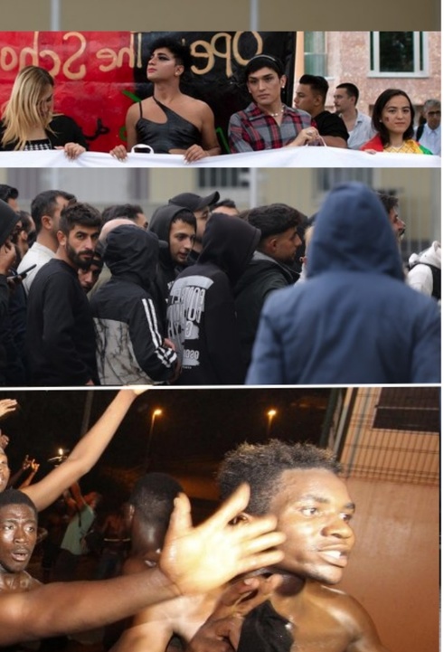 
Migration aus Ländern mit hoher Kriminalität ist ein Problem in Europa